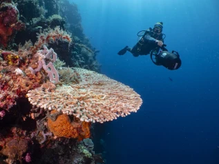 Bunaken Oasis Dive Resort & Spa