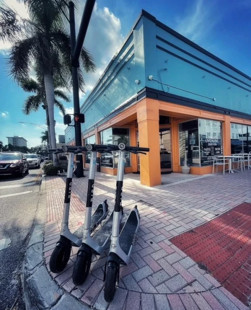 Kava Social Club, Bradenton  — Gay-friendly Spot in Bradenton