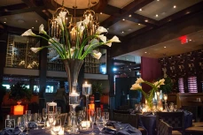 Insignia Steakhouse