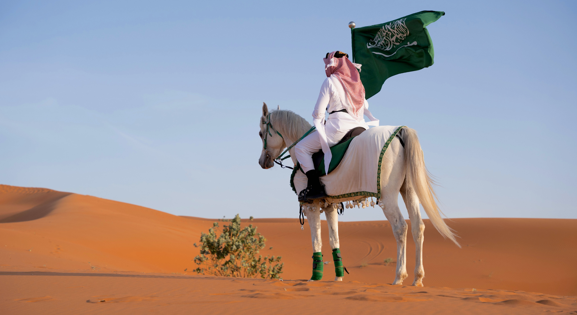 Gay Saudi Arabia