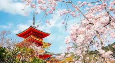 Gay Kyoto · Hotels