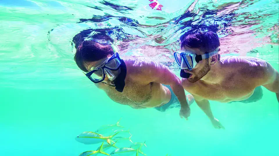 John Pennekamp Coral Reef State Park
