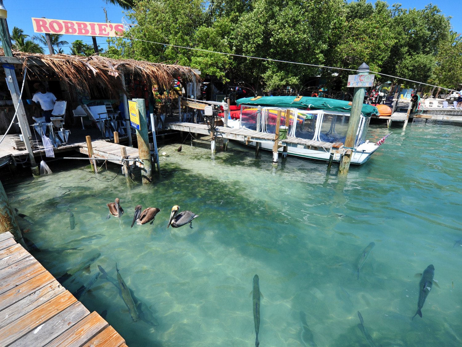 Robbie’s of Islamorada