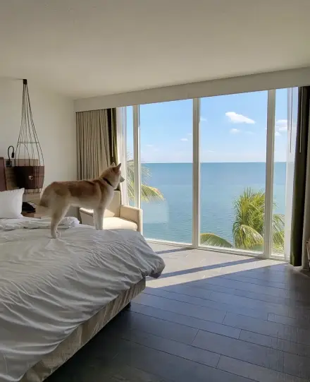 Amara Cay Resort