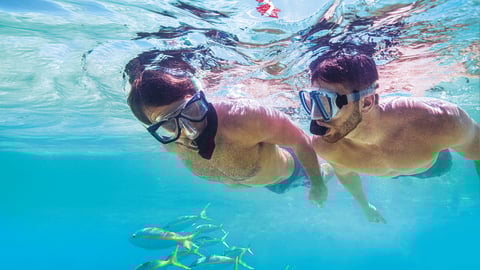 Key Largo Attractions