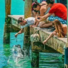 Robbie’s of Islamorada