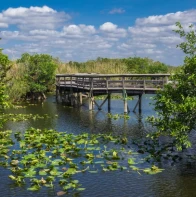 Geologischer Park Windley Key Fossil Reef