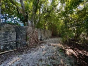 Geologischer Park Windley Key Fossil Reef