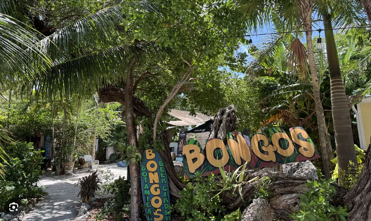 Bongo’s Botanical Beer Garden and Cafe