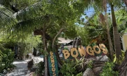 Bongo's 植物啤酒花園和咖啡館