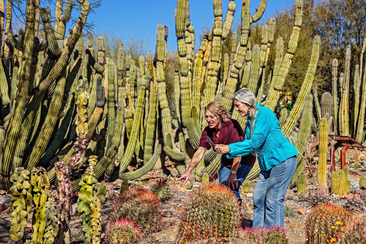 Arizona-Sonora Desert Museum