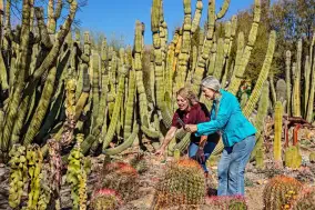 Arizona-Sonora Desert Museum