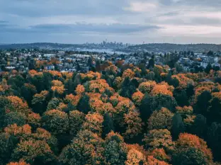 Seattle w porach roku: Znajdź swoją przytulną stronę
