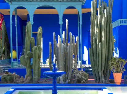 Yves Saint Laurent Museum & Le Jardin Majorelle
