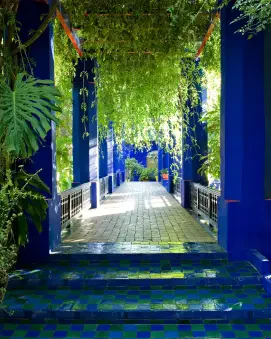 Yves Saint Laurent Museum & Le Jardin Majorelle