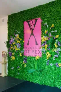 Sesso Museo Portogallo