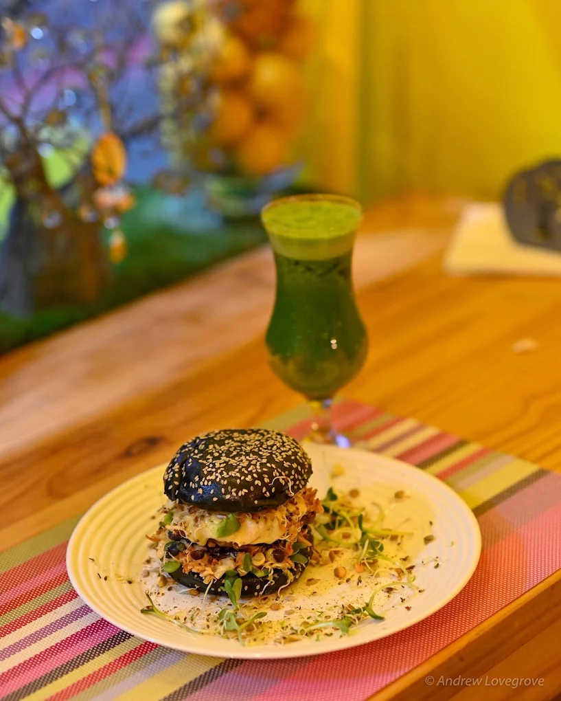 The Sunshine Food Sprouting Co