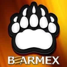 Nicho Bear & Bar mexico city