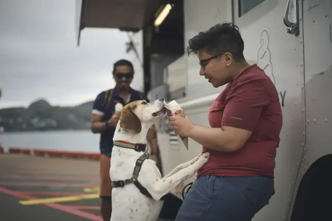 St. John's Gay Restaurants & Cafes