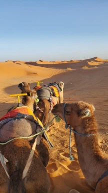 Sahara Holiday Tours