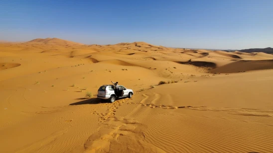 Sahara Holiday Tours