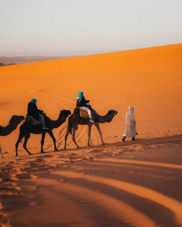 Sahara Holiday Tours