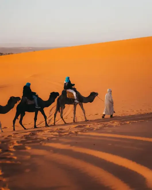 Sahara Holiday Tours