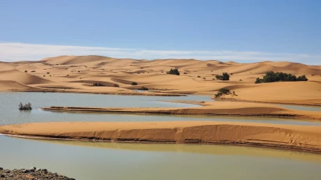 Sahara Holiday Tours