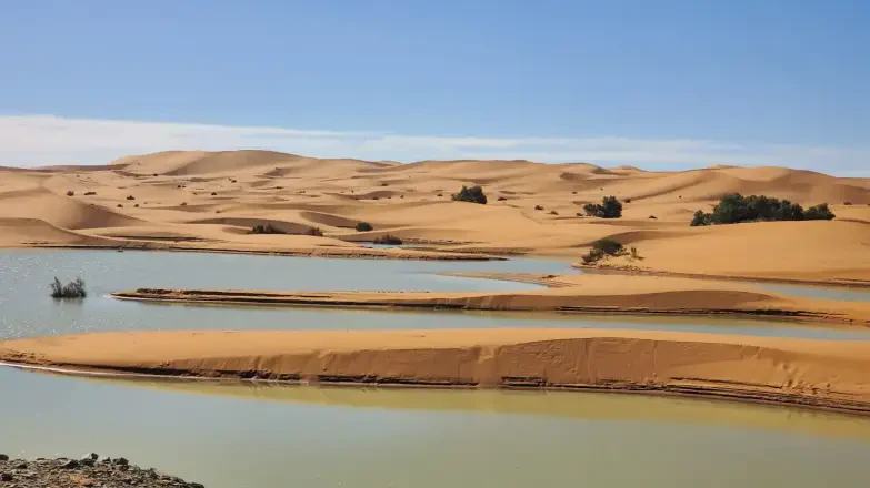 Sahara Holiday Tours