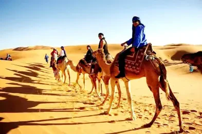 Sahara Holiday Tours