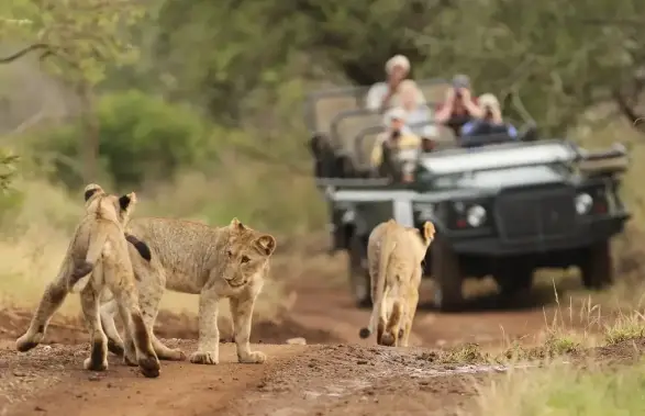 KwaZulu-Natal Gay Safari Lodges