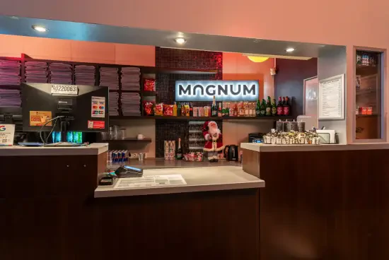 Magnum Sauna