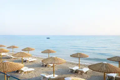 دومز نوروز كاساندرا