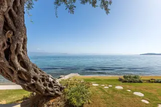 دوميس ميرامار