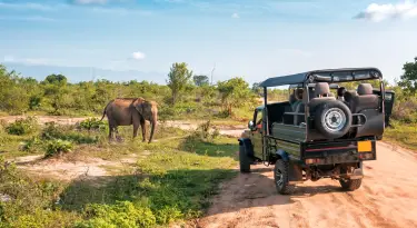 South Africa Should Be Your Next LGBTQ+ Adventure