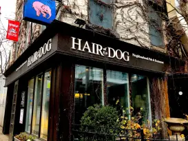 Hair of the Dog