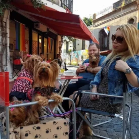 cafe pride Buenos Aires