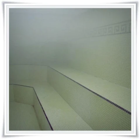 homosapiens buenos aires