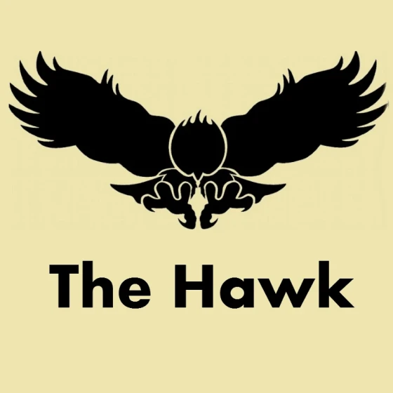 The Hawk Bar Cleveland Ohio Cleveland Gay Bar