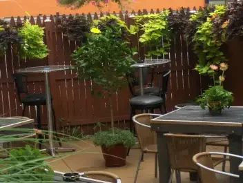 Vibe Bar and Patio Cleveland Ohio