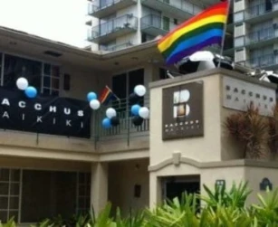 Bacchus Waikiki Honolulu Bar Hawaii Gay Bar In Honolulu