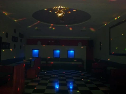La Disco Bitch