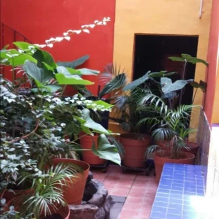 El Arenal Gimnasio y Vapor