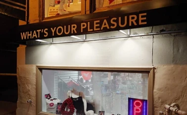 What's Your Pleasure