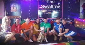 The Swallow