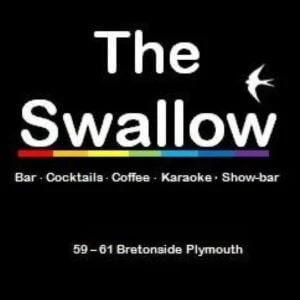 The Swallow