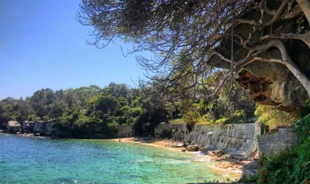 Lady Jane Beach Sydney