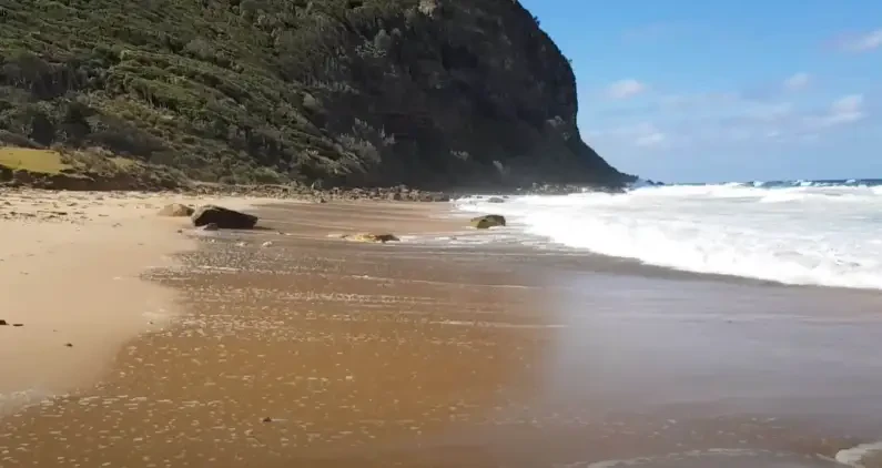 Werrong Beach Sydney