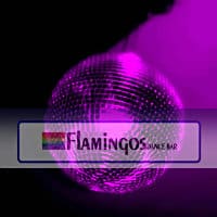 Flamingos Dance Bar (FERMÉ)