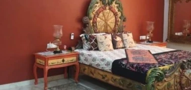 Mister and Art Haveli